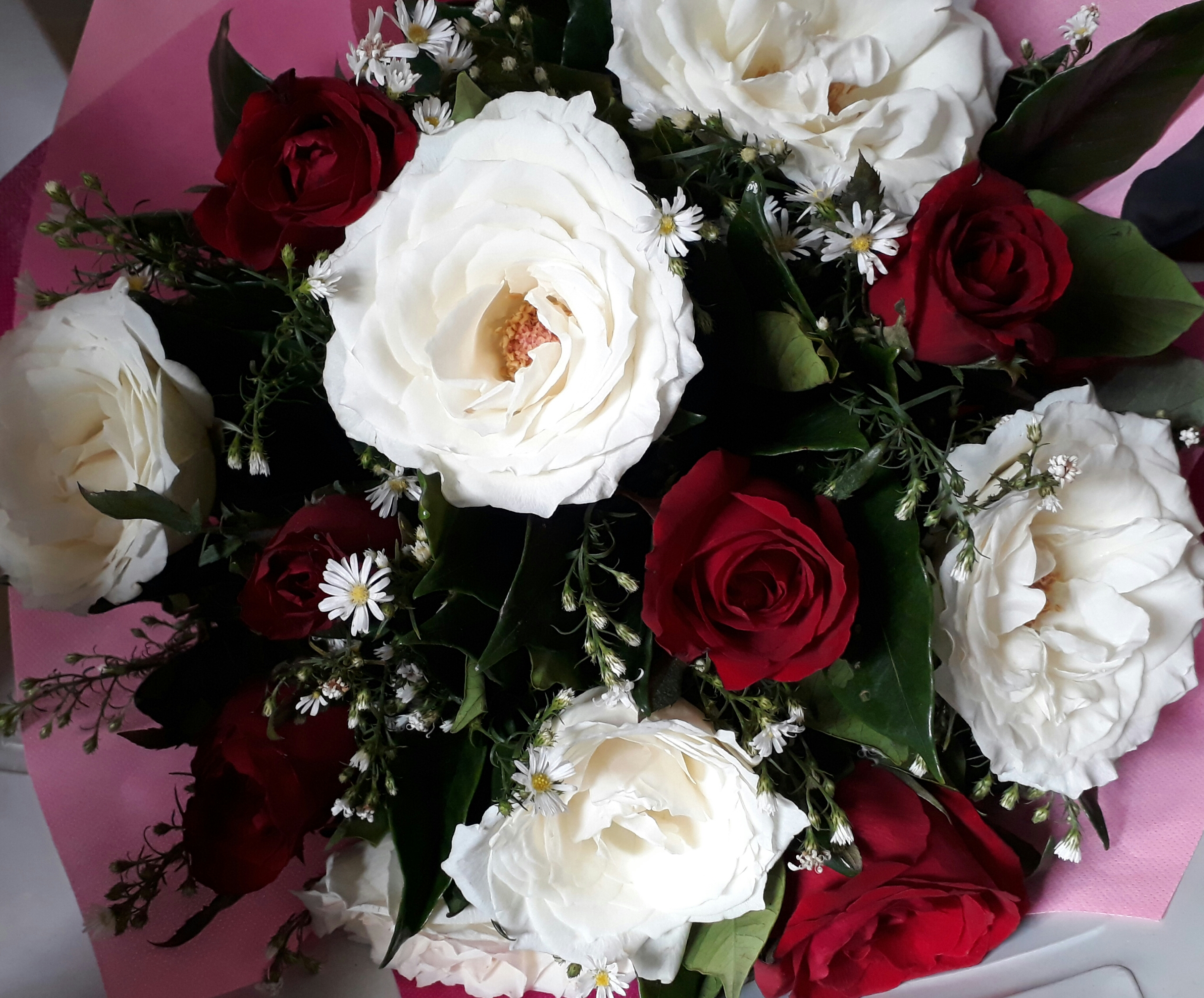 Red-and-white-roses